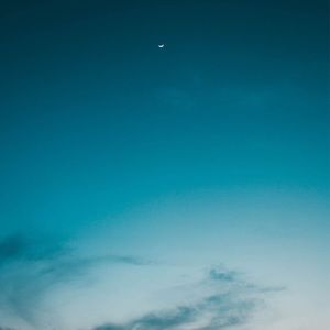 Meet your Posher, Niki